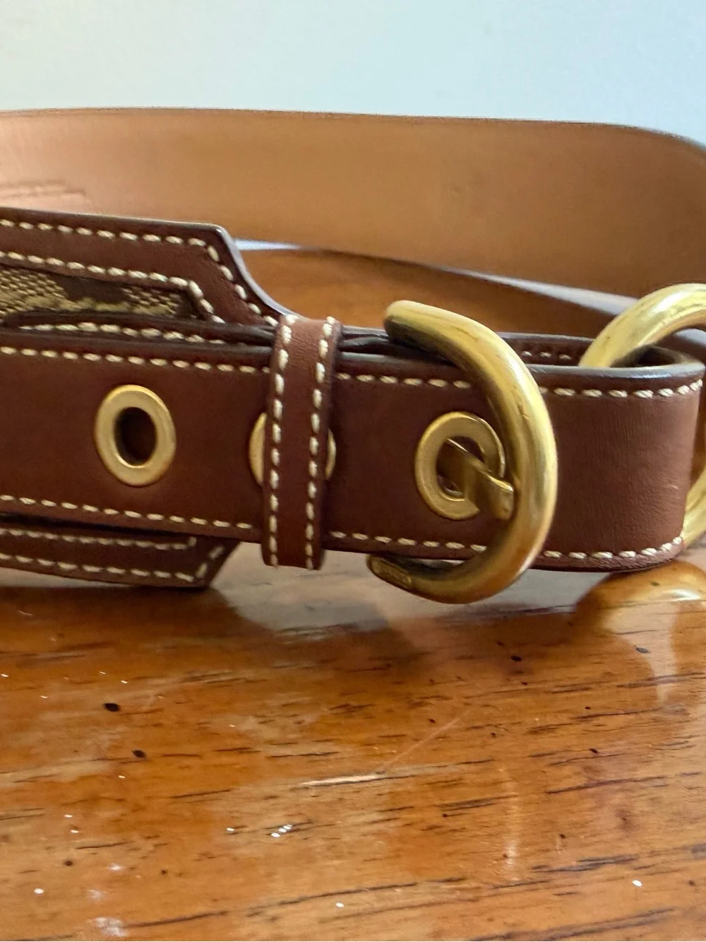 Coach Canvas Signature Belt in Brown with Gold Hardware.
